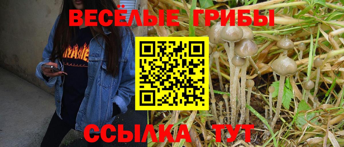 Ахтубинск  Галлюциногенные грибы Magic Shrooms  Галлюциногенные грибы Cubensis  Вход с VPN 